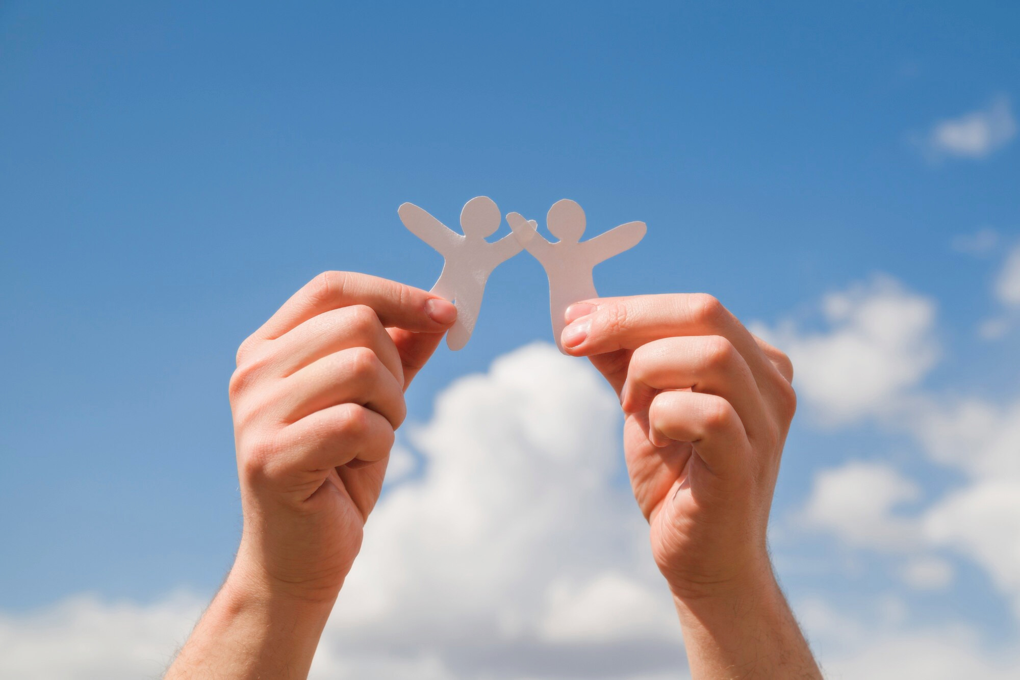 ウェルメントのイメージ