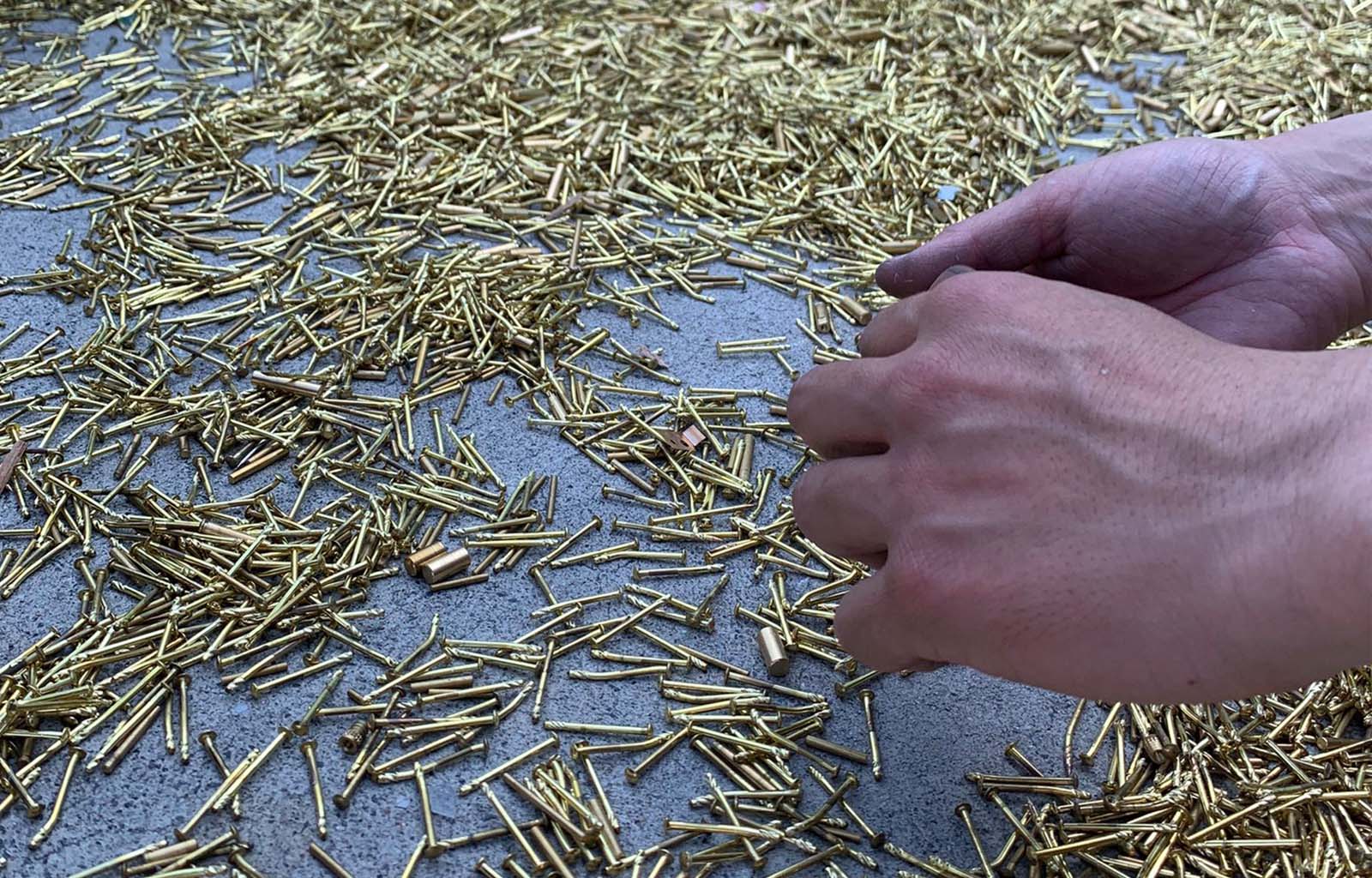 トラストの取り組み